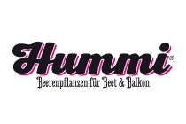 hummi logo 01