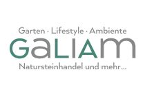 galiam logo 01